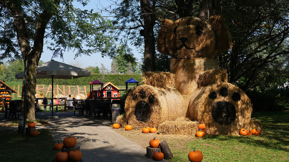 Ranch di Idea Village in autunno